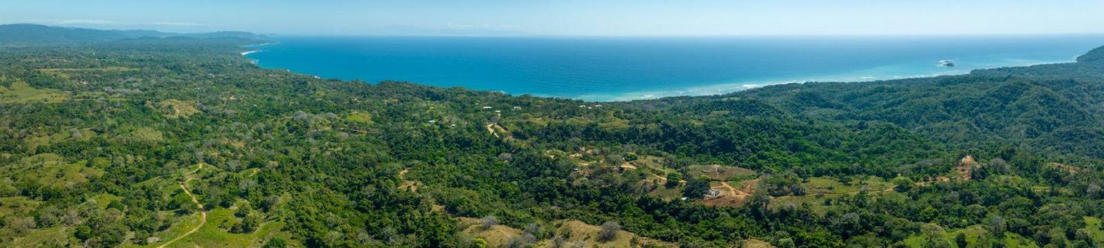 Aerial view of the jungle meeting the Pacific coastline