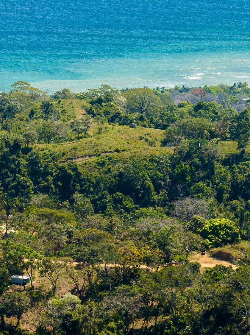 Aerial view of Beija Flor Village land and the ocean